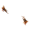 Manchettes Deer From Winter
