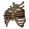 Top Bone Guardian