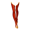 Bottes Maid of Phoenix