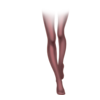 Bas Costume Bériflore