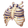 Top Bone Guardian