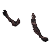 https://www.eldarya.com/assets/img/item/player/icon/673f6aff5ed368026205f2c42584b4f5~1686835748.png