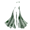 Cape Fortune Teller