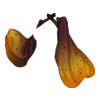 Manches Death Faery
