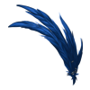 Plumes Champagne