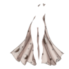 Cape Fortune Teller