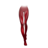 Collants Mysterious Enchantress