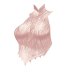 Haut Twisted Harpy