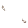 Gants Costume Bériflore