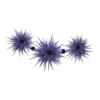D&eacute;clinaisons