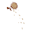 Bouquet Banshee