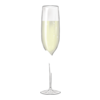 Verre Night Owl