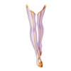 Bottes Maid of Phoenix