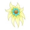 Fleur Shy Waterlily
