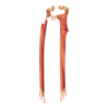 Cape Myre's Saint