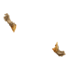 Gants Reindeer Keeper
