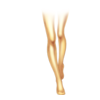 Bas Costume Bériflore