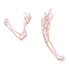 Gants Twisted Harpy
