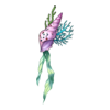 Barrette Legend of Sea