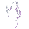 Perles Cacophony