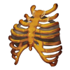 Top Bone Guardian