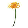 Fleur Death Faery