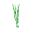 Bas Costume Bériflore