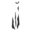 Cape Evil Shadow
