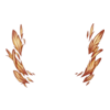 Plumes Visage Twisted Harpy