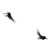 Griffes Banshee