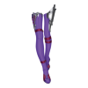 Bottes Succubus Ruler