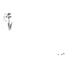 https://www.eldarya.com/assets/img/item/player/icon/8abff730bd07a057003d4cad253b2c86.png