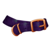 Ceinture Purreko's Friend