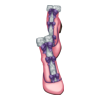 Bottines Gift Bringer