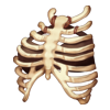 Top Bone Guardian