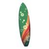 Planche Salty Surfer