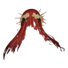 Voile Banshee