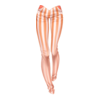 Pantalon Costume Dalafa