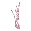 Bottines Veiled Claws