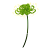 Fleur Death Faery