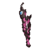 Bottes Soprano