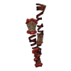 Guêtres Bone Guardian