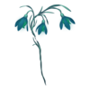 Fleurs Winter Faerie