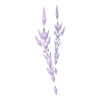 Cristaux Jambes Snow Queen