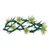 Couronne Necromancer