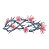 Couronne Necromancer