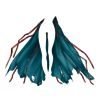 Cape Ghost Hunter