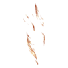 Jambes Gelé(es)