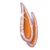 Barrette Rosé