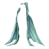 Manches Necromancer